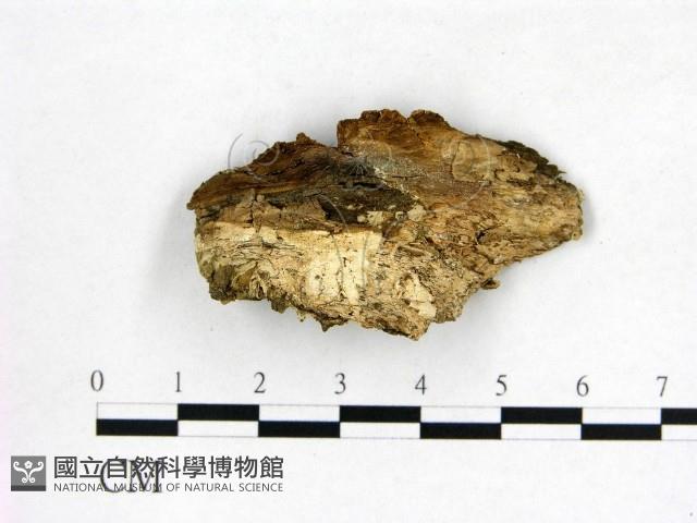 登錄號:F0022632藏品圖，第3張