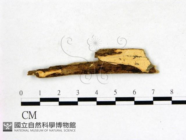 登錄號:F0000432藏品圖，第1張