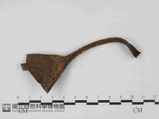 登錄號:F0021432藏品圖，第3張