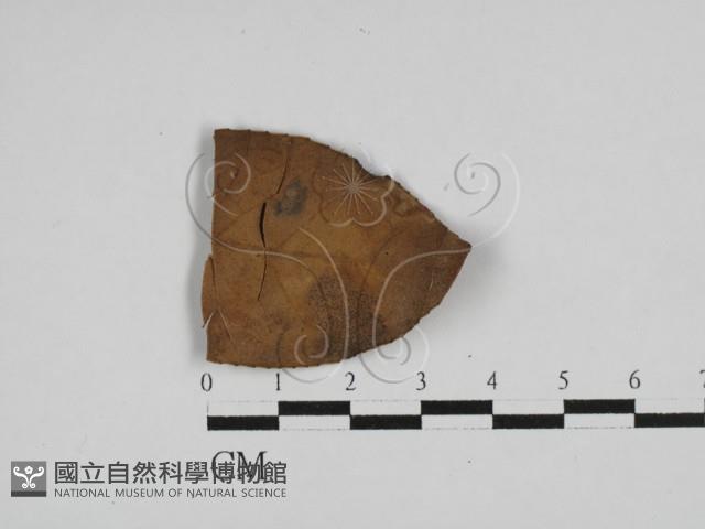 登錄號:F0022432藏品圖，第1張