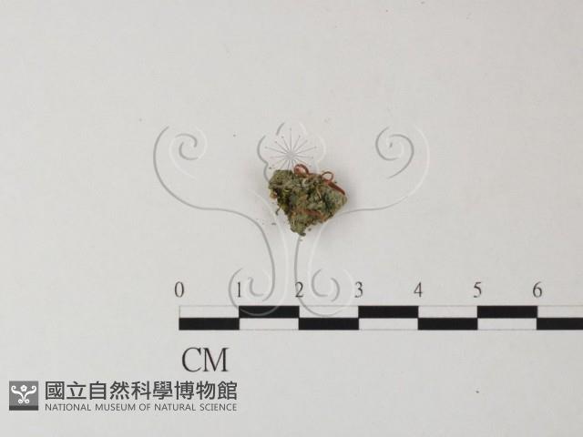 登錄號:F0025432藏品圖，第3張