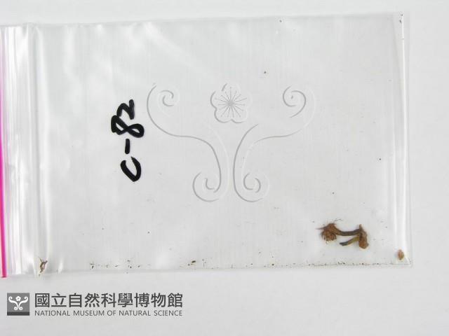 登錄號:F0001732藏品圖，第3張