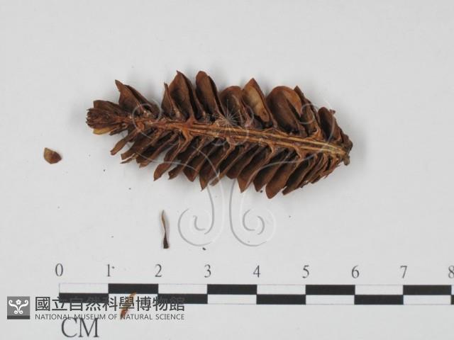 登錄號:F0011732藏品圖，第3張