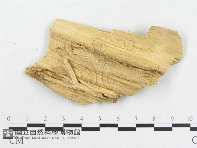 登錄號:F0008132藏品圖，第3張