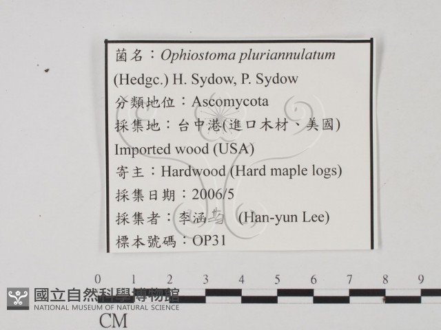 登錄號:F0022132藏品圖，第3張