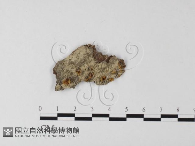 登錄號:F0011032藏品圖，第3張