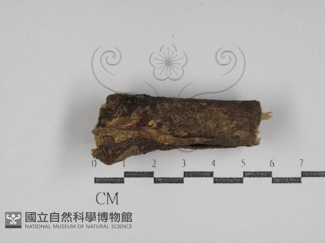 登錄號:F0031032藏品圖，第1張