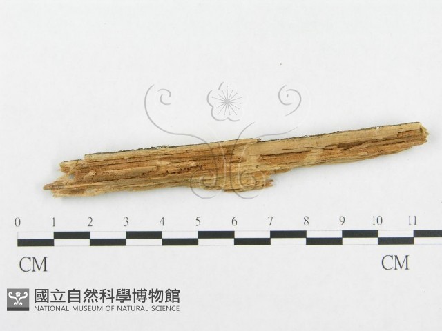 登錄號:F0014032藏品圖，第3張
