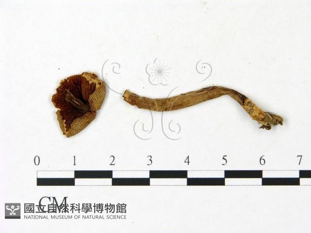 登錄號:F0023032藏品圖，第3張