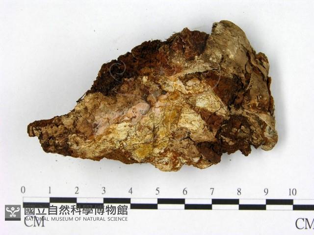 登錄號:F0005872藏品圖，第3張