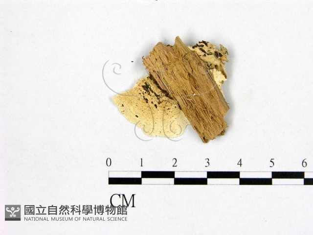 登錄號:F0006972藏品圖，第3張
