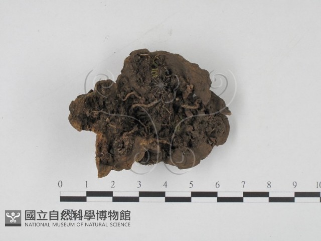 登錄號:F0001972藏品圖，第3張