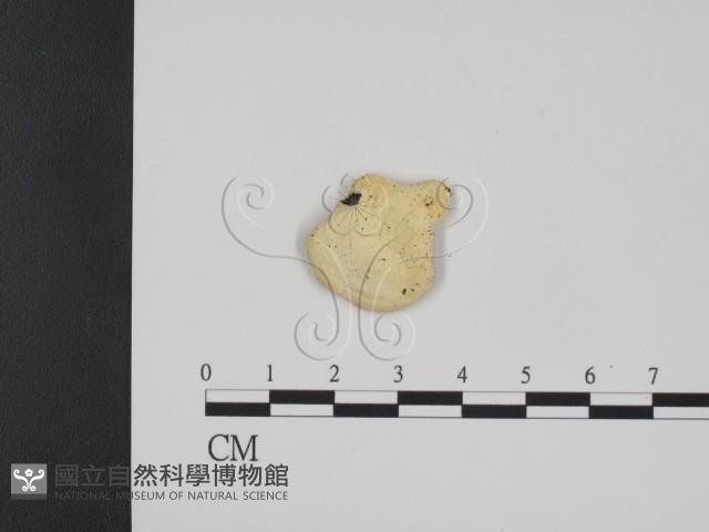 登錄號:F0005972藏品圖，第3張