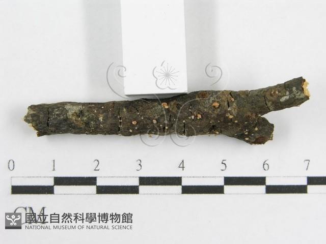 登錄號:F0002672藏品圖，第3張
