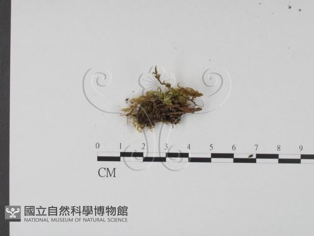 登錄號:F0007672藏品圖，第3張