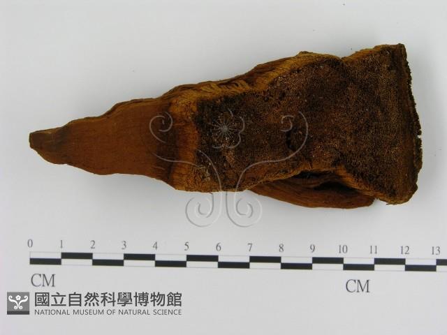 登錄號:F0009472藏品圖，第3張