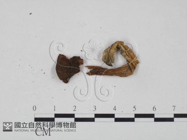 登錄號:F0010772藏品圖，第3張