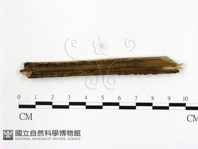 登錄號:F0002772藏品圖，第3張