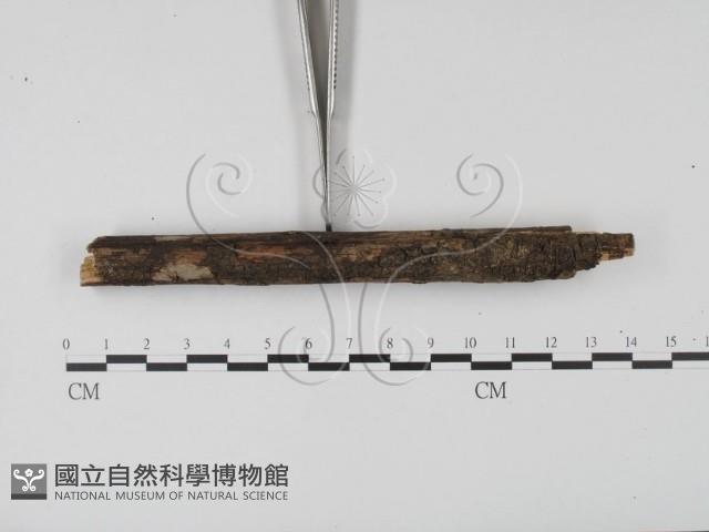 登錄號:F0000572藏品圖，第3張