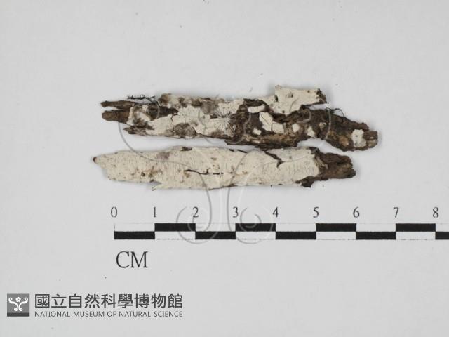 登錄號:F0027572藏品圖，第3張