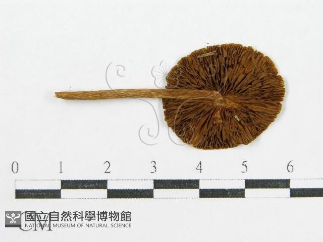 登錄號:F0007572藏品圖，第3張
