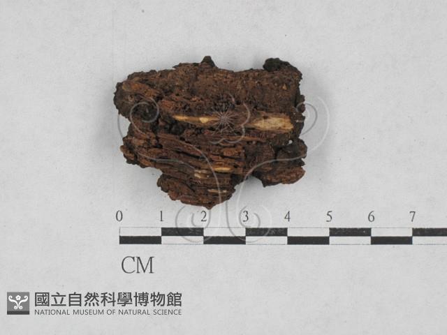 登錄號:F0028172藏品圖，第3張