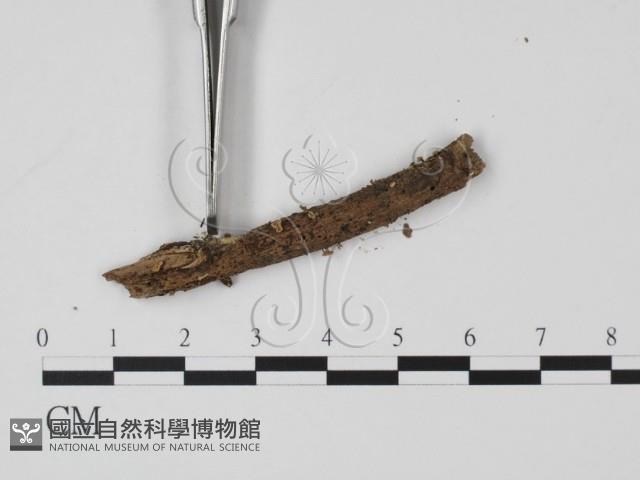 登錄號:F0020172藏品圖，第3張