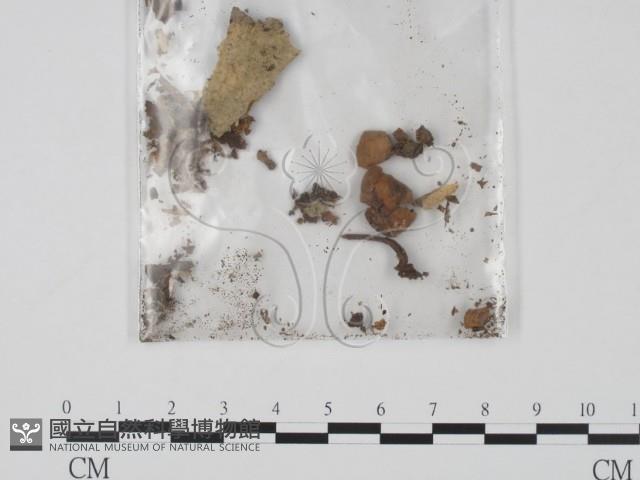 登錄號:F0000172藏品圖，第3張