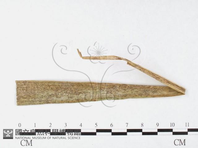 登錄號:F0026372藏品圖，第1張