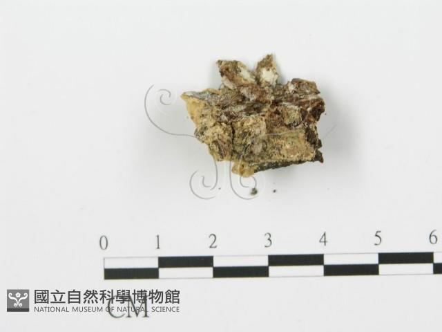 登錄號:F0006372藏品圖，第4張