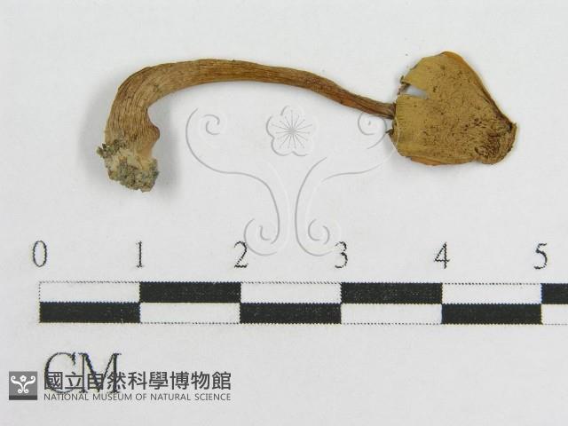 登錄號:F0016372藏品圖，第3張