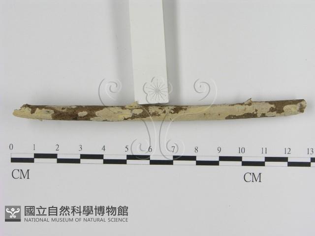 登錄號:F0001267藏品圖，第3張