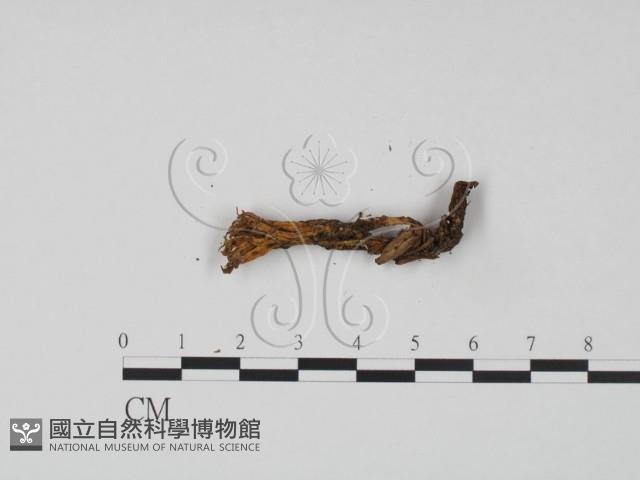 登錄號:F0022267藏品圖，第3張