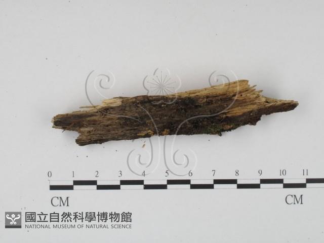 登錄號:F0009867藏品圖，第3張