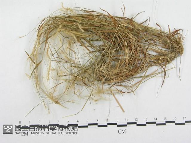 登錄號:F0018967藏品圖，第1張