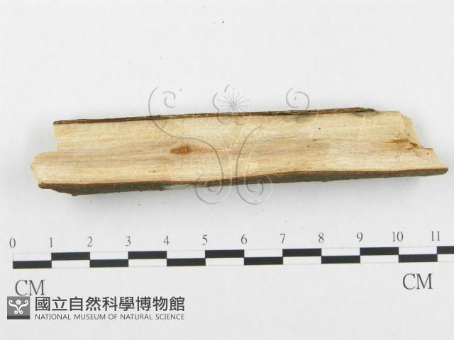 登錄號:F0001967藏品圖，第3張