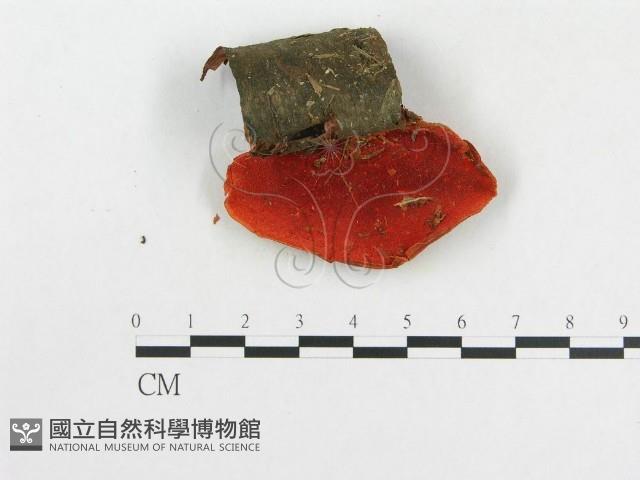 登錄號:F0004967藏品圖，第3張