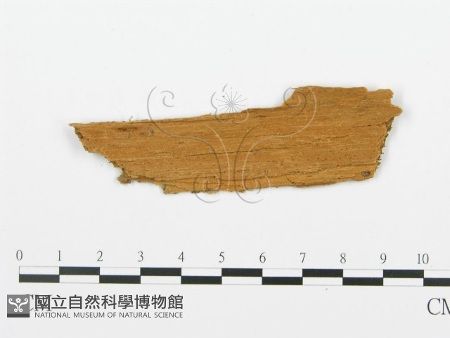 登錄號:F0006667藏品圖，第3張