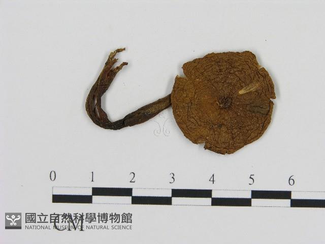 登錄號:F0004667藏品圖，第3張