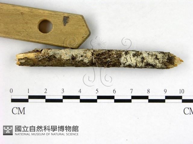 登錄號:F0022667藏品圖，第3張