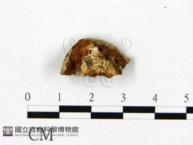 登錄號:F0006467藏品圖，第3張