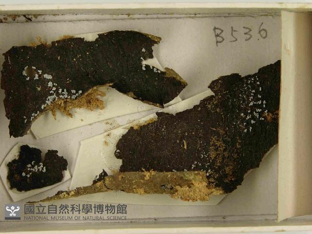 登錄號:F0021467藏品圖，第3張