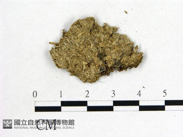 登錄號:F0011467藏品圖，第3張