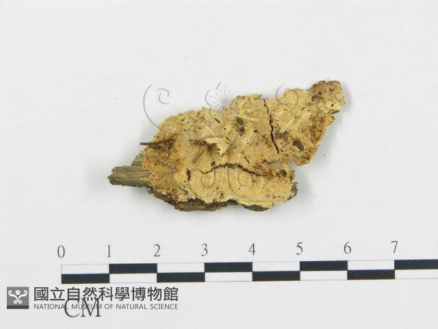 登錄號:F0017467藏品圖，第1張