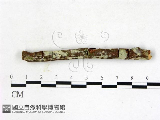 登錄號:F0022767藏品圖，第3張