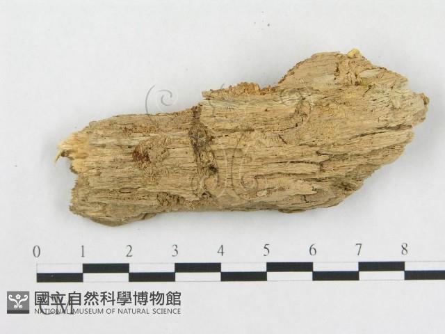 登錄號:F0006567藏品圖，第3張