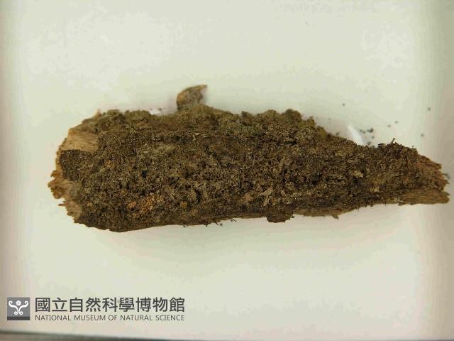 登錄號:F0021567藏品圖，第3張