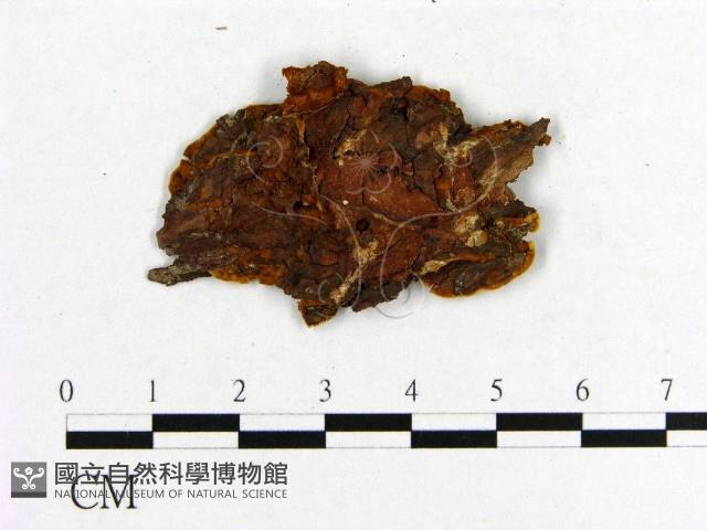 登錄號:F0011567藏品圖，第3張