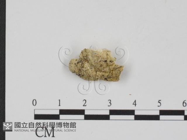 登錄號:F0017567藏品圖，第3張