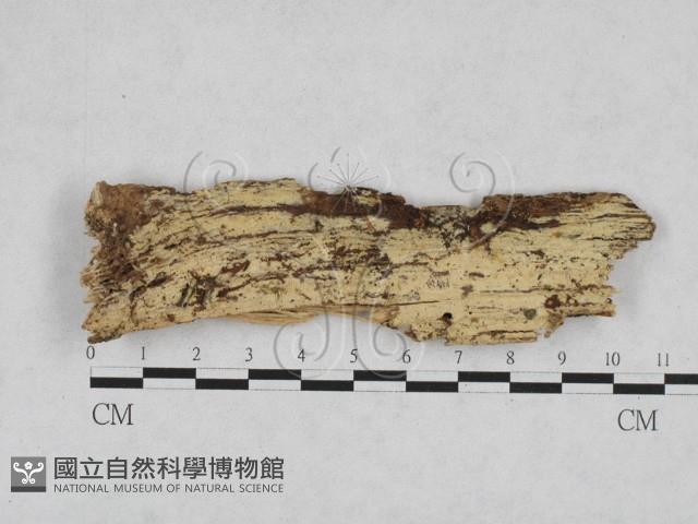 登錄號:F0028167藏品圖，第3張